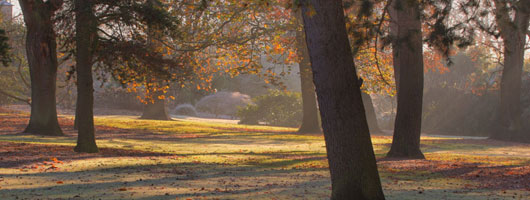 攻击网站服务器